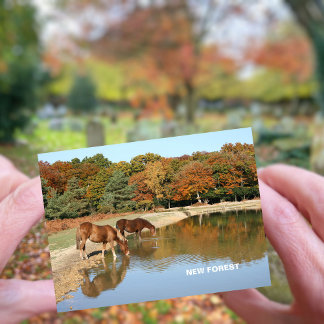 Nieuw bos briefkaart