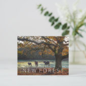 Nieuw bos briefkaart (Staand voorkant)