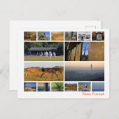 Nieuw bos met meerdere afbeeldingen briefkaart (Voorkant / Achterkant)