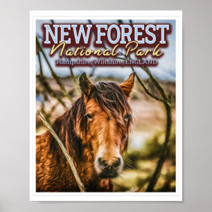 NIEUW BOSBOUWNATIONAAL PARK - NIEUW BOSBOUWPONY POSTER
