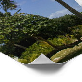 Nieuw-Caledonië, Amedee Islet. Amedee Islet Poster (Hoek)