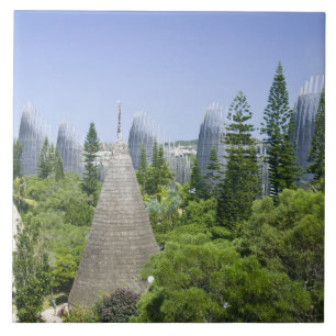 Nieuw-Caledonië, Grande Terre eiland, Noumea. Tegeltje