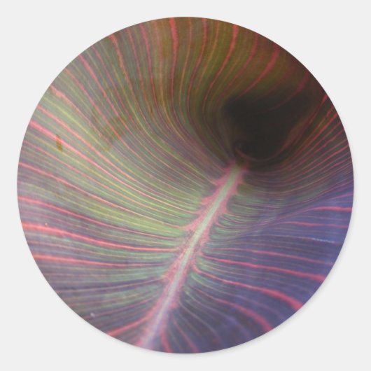 Nieuw Canna Leaf ~ sticker (Voorkant)