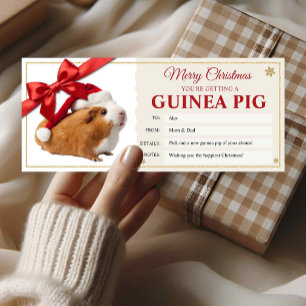 Nieuw Cavia Kerst Geschenkcertificaat Kaart