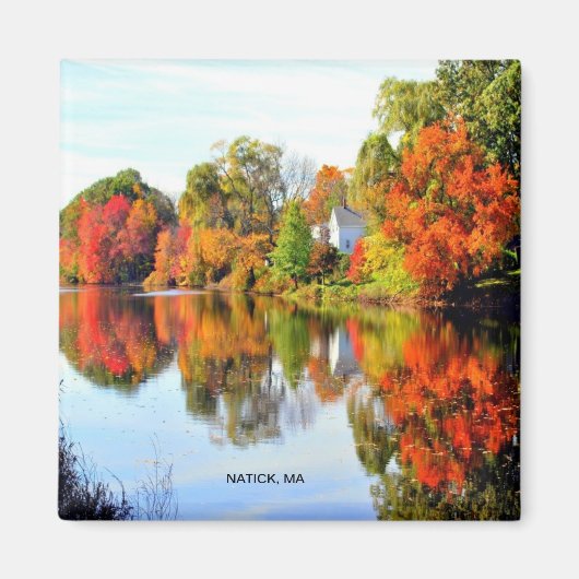 NIEUW ENGELAND MAGNEET (Voorkant)