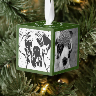 Nieuw familielid Introductie Kubus Ornament