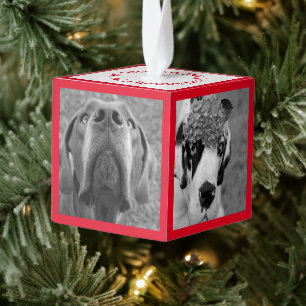 Nieuw familielid Introductie Kubus Ornament