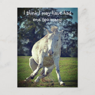 Nieuw Forest White Pony Funny Pose Briefkaart