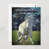Nieuw Forest White Pony Funny Pose Briefkaart (Voorkant / Achterkant)