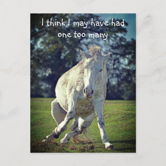 Nieuw Forest White Pony Funny Pose Briefkaart (Voorkant)