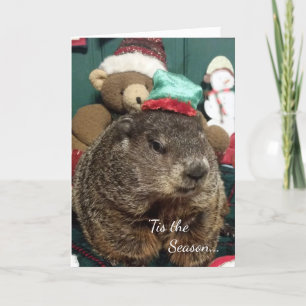 Nieuw! Groeikaartje voor de groet van Groundhog Mo Feestdagen Kaart