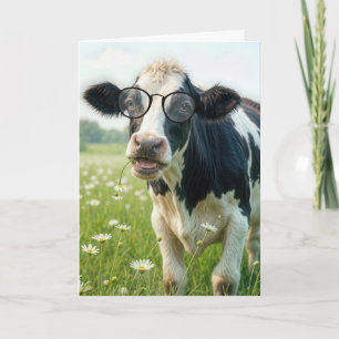 Nieuw Huis Holstein Koe Kaart