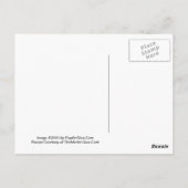 Nieuw jaar Blues Martini Recept Briefkaart (Achterkant)