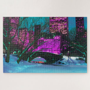 Nieuw-jouw uitzicht van het centrale park legpuzzel