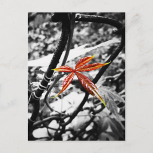 Nieuw leder briefkaart