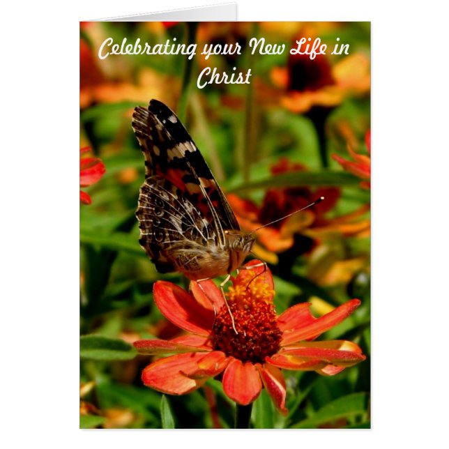 Nieuw leven in Christus (Voorkant)