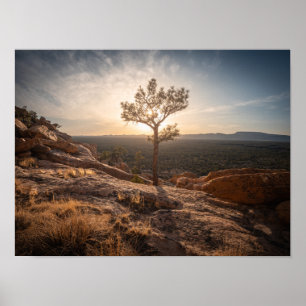 Nieuw Mexico Landschapsfoto Poster