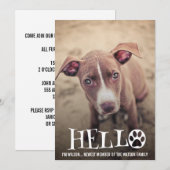 NIEUW ONDERZOEK NAAR AANKONDIGING VAN PET (Voorkant / Achterkant)