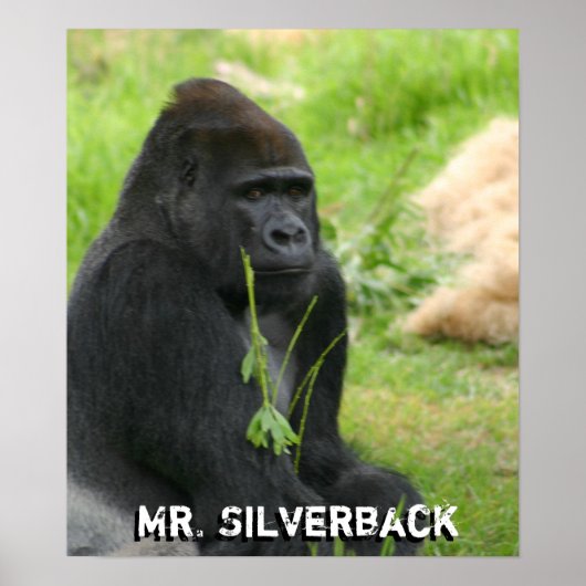 Nieuw Poster (Voorkant)