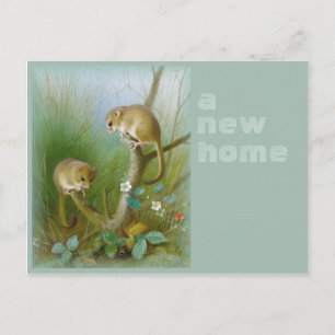 Nieuw startpunt CC0112 Archibald Thorburn Dormice Aankondigingskaart