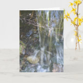 Nieuw startpunt kaart (Gele Bloem)