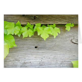 Nieuw vizier, oud hout