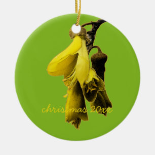 NIEUW ZEALAND KOWHAI-STROOM GEEL GROENE KLEUR KIWI KERAMISCH ORNAMENT