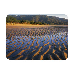 Nieuw-Zeeland, Abel Tasman National Park, Kust 2 Magneet