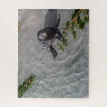 Nieuw-Zeeland Jigzaag Puzzle - Seal pup Whariki