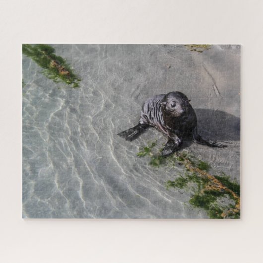 Nieuw-Zeeland Jigzaag Puzzle - Seal pup Whariki Legpuzzel (Horizontaal)