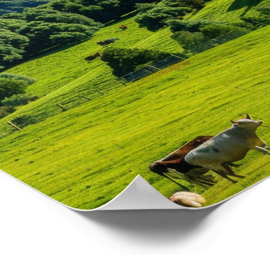 Nieuw-Zeeland Natuurlandschap: een ver Uitzicht Poster (Hoek)