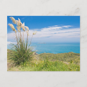Nieuw-Zeeland, Noord-eiland, Kaapverdië Briefkaart