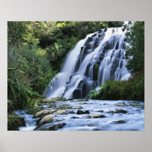 Nieuw-Zeeland, Noordereiland, Karangahake Gorge, Poster
