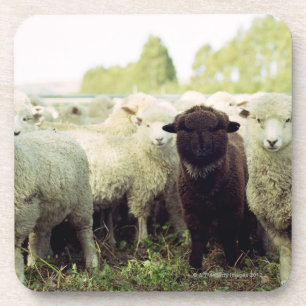 Nieuw-Zeeland Onderzetter