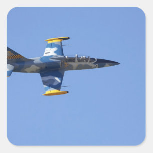 Nieuw-Zeeland, Otago, Wanaka, Warvogels meer dan 2 Vierkante Sticker