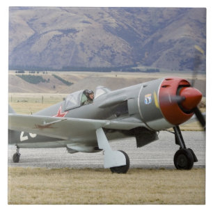 Nieuw-Zeeland, Otago, Wanaka, Warvogels ouder dan  Tegeltje