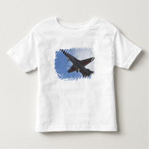 Nieuw-Zeeland, Otago, Wanaka, Warvogels over Kinder Shirts
