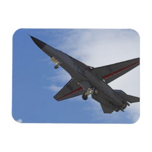 Nieuw-Zeeland, Otago, Wanaka, Warvogels over Magneet