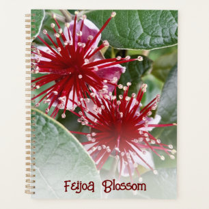 Nieuw-Zeeland Rode Floral Feijoa Blossom Planner