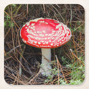 Nieuw-Zeeland, Rotorua, Taupo Volcanic Zone Vierkante Kartonnen Onderzetter