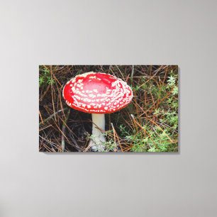 Nieuw-Zeeland, Rotorua, Taupo vulkanische zone Canvas Afdruk