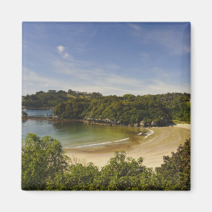 Nieuw-Zeeland, Southland, Stewart Island, Halfmoon Magneet