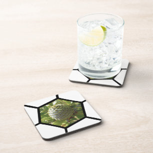 Nieuw-Zeeland Souvenir Kauri Cone Bier Onderzetter