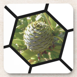 Nieuw-Zeeland Souvenir Kauri Cone Bier Onderzetter