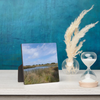 Nieuw-Zeeland West Coast Auckland Whatipu Cave Tra Fotoplaat