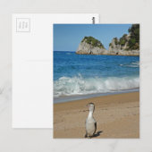 Nieuw-Zeeland Zuid-eiland Briefkaart (Voorkant / Achterkant)