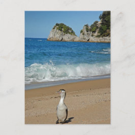 Nieuw-Zeeland Zuid-eiland Briefkaart