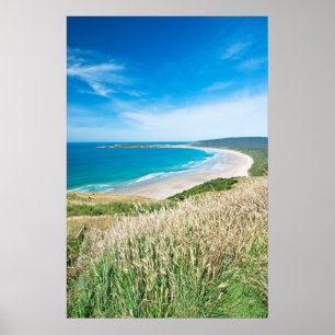 Nieuw-Zeeland, Zuid-eiland, Catlins, Tautuku Bay Poster