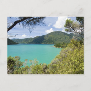 Nieuw-Zeeland, Zuid-eiland, Marlborough Klinkt. Briefkaart