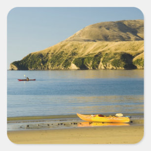 Nieuw-Zeeland, Zuidereiland, Marlborough Sounds. 2 Vierkante Sticker